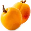(Apricot) زردآلو