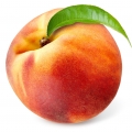 (White Peach) هلو سفید