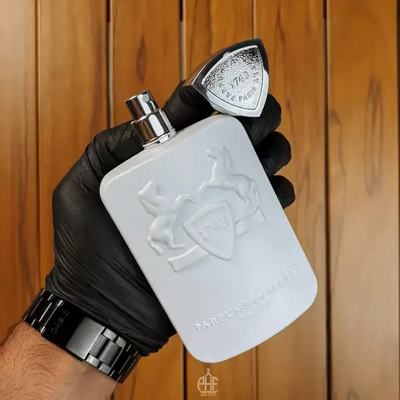 عطر ادکلن پارفومز د مارلی گالووی 125 میل
