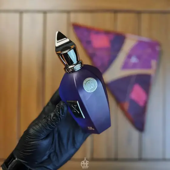 عطر ادکلن زرجف پرپل اکسنتو 2025 (100) میل